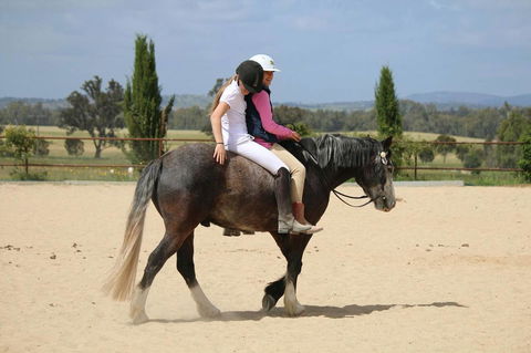 Belisi Farmstay Cottage - Accommodation Melbourne 28