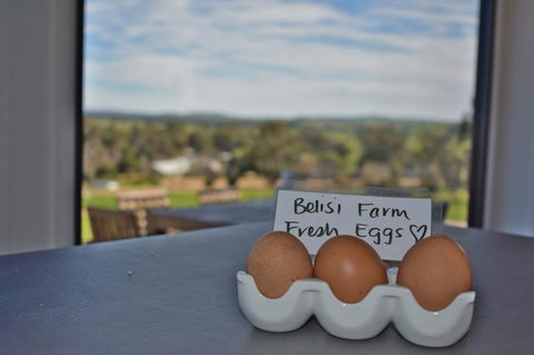 Belisi Farmstay Cottage - Accommodation Melbourne 20