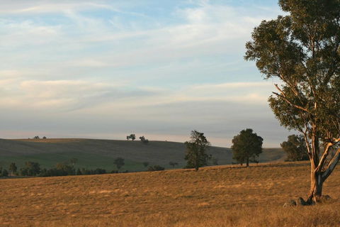 Belisi Farmstay Cottage - Accommodation Melbourne 33