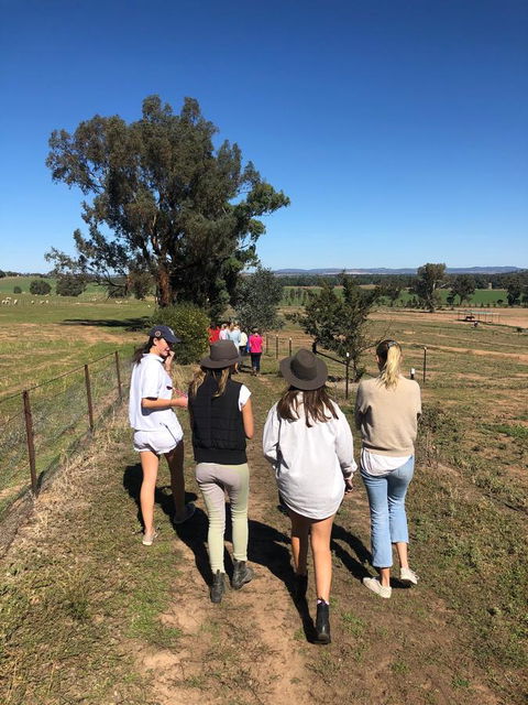Belisi Farmstay Cottage - Accommodation Melbourne 7
