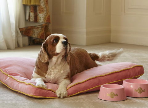 The Langham Sydney - Accommodation Melbourne 23