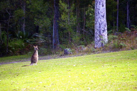 Jackson Ranch By Bannisters - Accommodation Melbourne 31