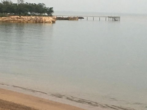 Nightcliff Foreshore Getaway - McKay Gardens - Accommodation Melbourne 27