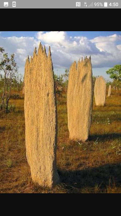 'Tropical Oasis - Darwin NT - Accommodation Melbourne 33