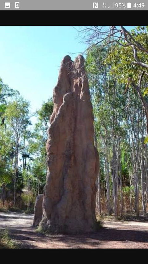 'Tropical Oasis - Darwin NT - Accommodation Melbourne 31