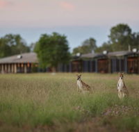 Wildman Wilderness Lodge - Accommodation Melbourne