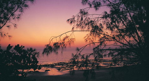 Darwin Beach Escape Holiday Home - Accommodation Melbourne 25
