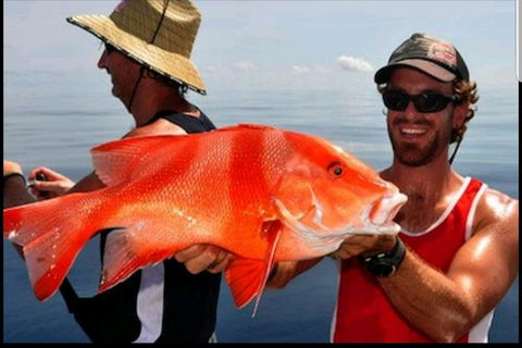 Darwin Beach Escape Holiday Home - Accommodation Melbourne 39