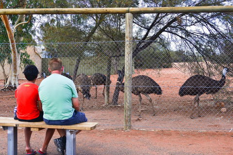 Erldunda Desert Oaks Resort - Accommodation Melbourne 21