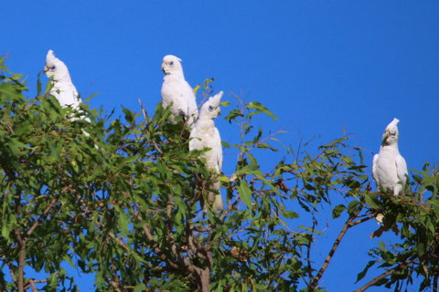 Aurora Kakadu Lodge - Accommodation Melbourne 9