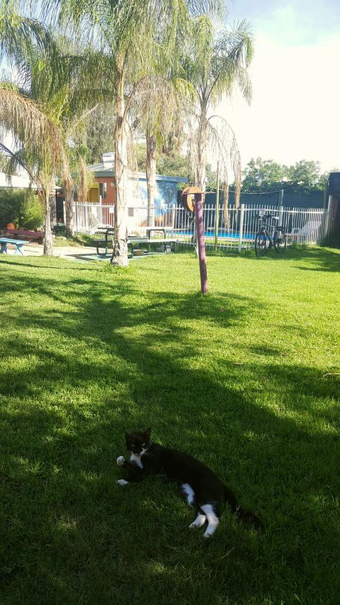 Alice Lodge - Accommodation Melbourne 26