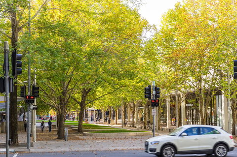 Highgate Executive Apartment City Walk Canberra - Melbourne 4u 37