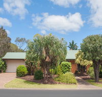 Bottlebrush - Melbourne 4u