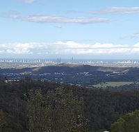 Bottletree Gardens - Mini Manson Blue - Accommodation Melbourne