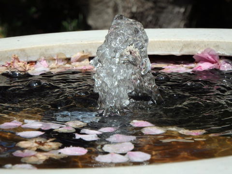 Bowral Road Bed And Breakfast - Accommodation Melbourne 2