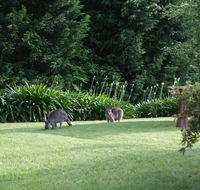 Bundanoon 2578 - Accommodation Melbourne