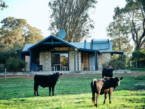 Burnside Organic Farm - Accommodation Melbourne 2