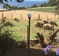 Cape View B and B - Accommodation Melbourne