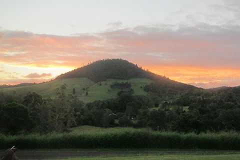 CBR Equine Cottage - Accommodation Melbourne 1