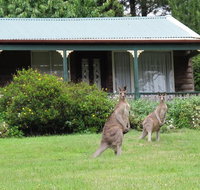 Cedar Lodge Cabins - Accommodation Melbourne