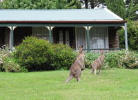 Book Mount Victoria Accommodation Vacations Accommodation Melbourne Accommodation Melbourne