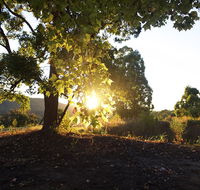 Clarendon Forest Retreat - Melbourne 4u