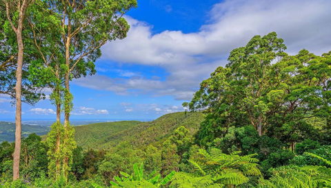 CLOUD 9 - Cliff Top Eagle Heights - Accommodation Melbourne 3