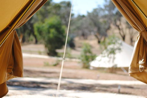 Cosy Tents - Daylesford - Accommodation Melbourne 1
