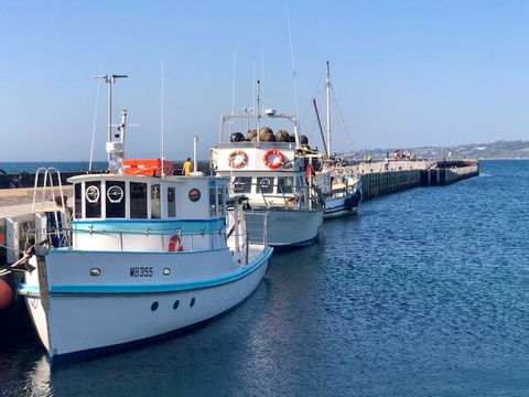 Cote D'Azur - Accommodation Melbourne 1