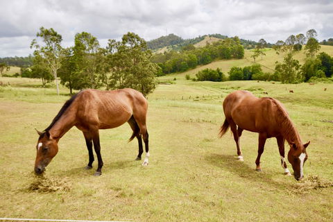 Country Breeze Farm Stay - Accommodation Melbourne 1