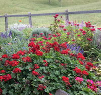 Country Mile Escape - Accommodation Melbourne