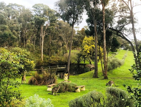 Countryside Retreat Intimate Studio Hepburn - Daylesford - Accommodation Melbourne 0