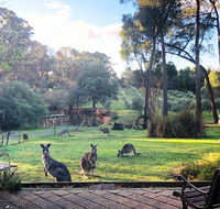 Countryside Retreat Spa Cottage Hepburn - Daylesford - Accommodation Melbourne
