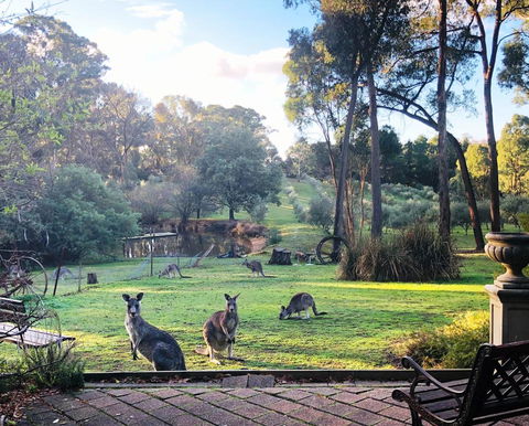 Countryside Retreat Spa Cottage Hepburn - Daylesford - Accommodation Melbourne 0