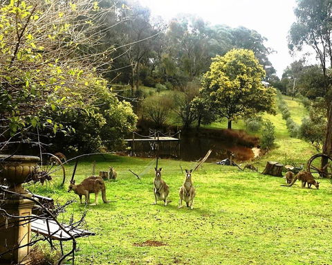 Countryside Retreat Spa Cottage Hepburn - Daylesford - Accommodation Melbourne 1