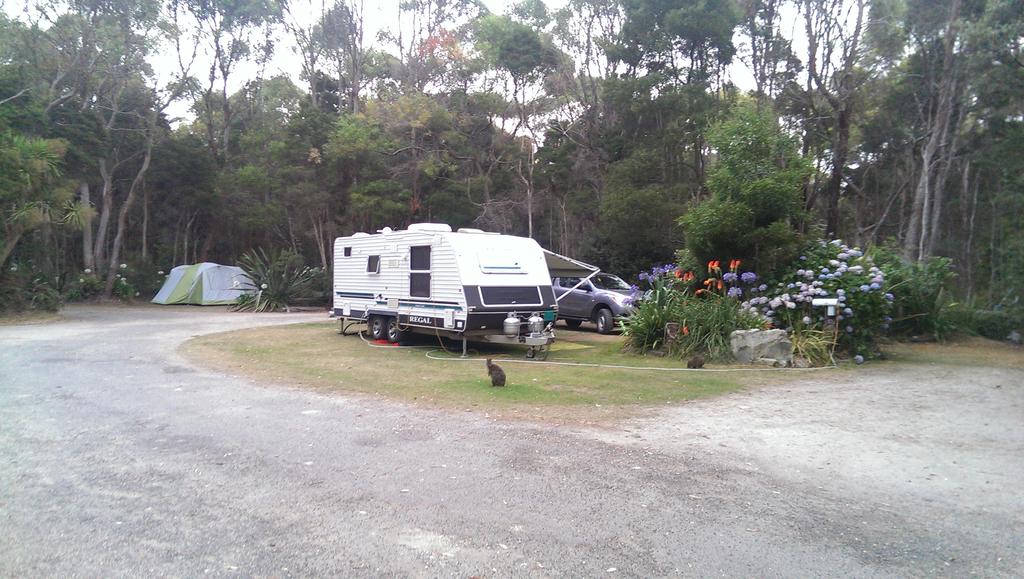 Crayfish Creek TAS Accommodation Melbourne