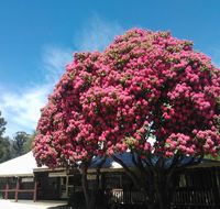 Crossways Country Inn - Accommodation Melbourne