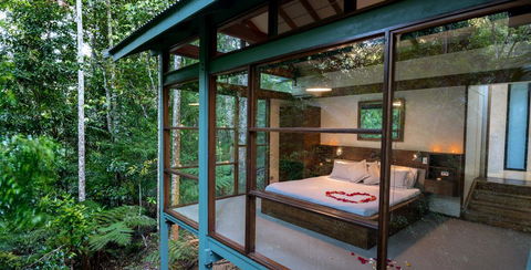 Crystal Creek Rainforest Retreat - Melbourne 4u 3