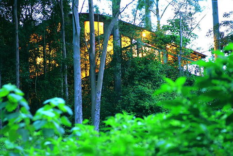 Crystal Creek Rainforest Retreat - Melbourne 4u 1