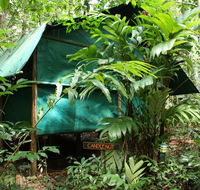 Daintree Crocodylus - Accommodation Melbourne