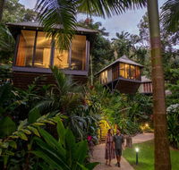 Daintree Ecolodge - Accommodation Melbourne
