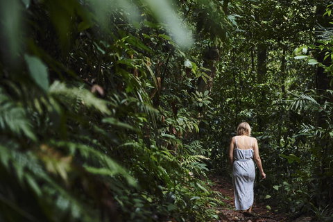 Daintree Ecolodge - Accommodation Melbourne 2