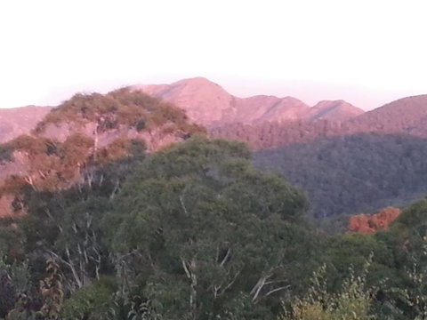 Day Dream Cottage - Accommodation Melbourne 2