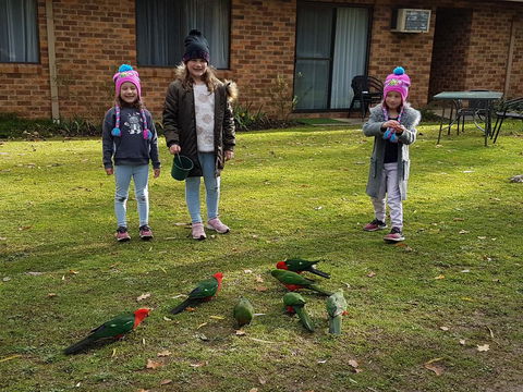 Eildon Parkview Motor Inn - Melbourne 4u 1