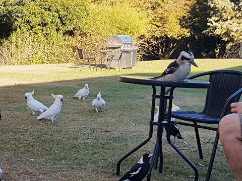 Eildon Parkview Motor Inn - Melbourne 4u 0