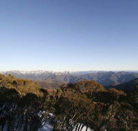 Elkhorn 7 - Accommodation Melbourne