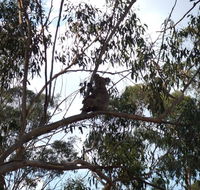 Escape to the Country - Enjoy the firepit or explore magical Bunya Mountains - Melbourne 4u