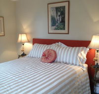 Every Man and His Dog Vineyard - Accommodation Melbourne