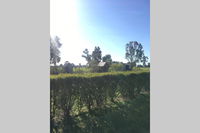Book Benalla Accommodation Vacations Accommodation Melbourne Accommodation Melbourne