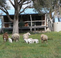 Gaddleen Grove Cottages - Accommodation Melbourne